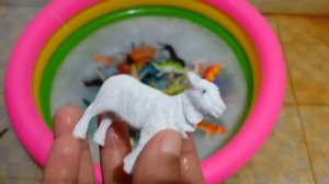 learn colors animals for kids in Rainbow Animals water pool - Johny Johny Art