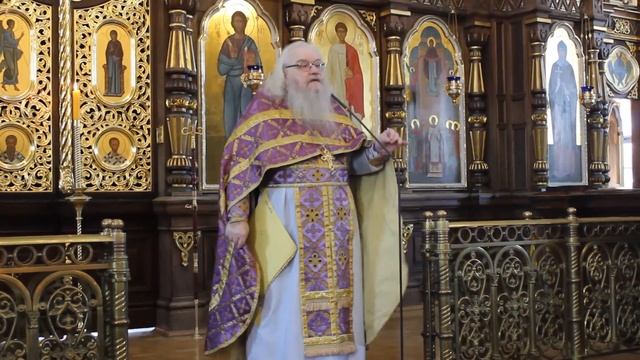 Проповедь в Неделю 2-ю Великого поста. Память Святителя Григория Паламы смотреть онлайн