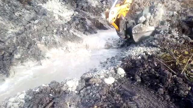 Выкопал форелевый пруд , запуск форели