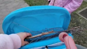 Мама, а можно?