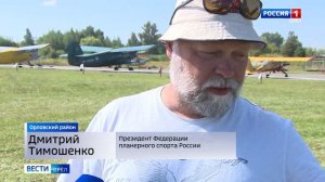 Орел стремится к полету