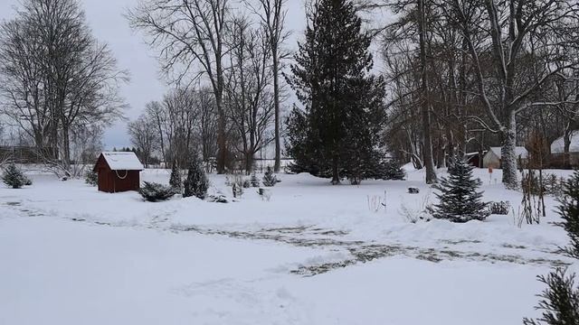 2 гектара | Как легко и быстро убрать снег смотреть онлайн