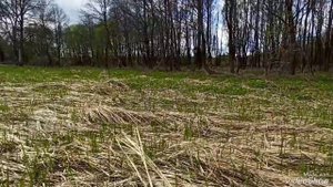 поиск монет с эквинокс 600,шикарные находки