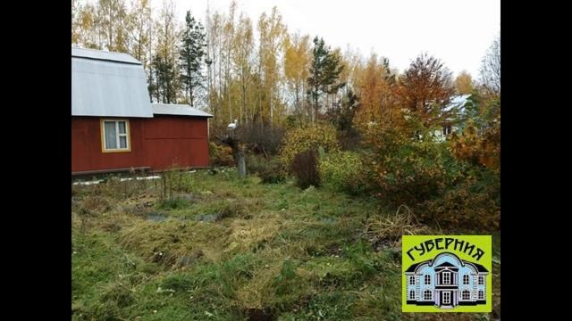 Хорошая дача СНТ "Ландыш" Орехово-Зуевский район восточнее п. 1 Мая смотреть онлайн