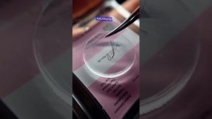 как делать быстро пучки с помощью «жидкой»/ силиконовой капли