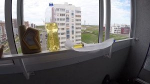 Rosneft(Роснефть) MOTO 2T в японский лодочный мотор. Эксперимент по смешиванию с бензином(часть 1)