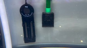 Как правильно оборудовать Аквариум? Протока. Биофильтрация. Скаты