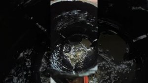 Решение проблемы с форсунками Delphi неодимовый магнит в топливном фильтре Рено кенго 1.5 dci