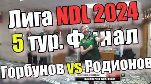 Дартс. Лига NDL 2024. Тур 5. Финал. Горбунов vs Родионов