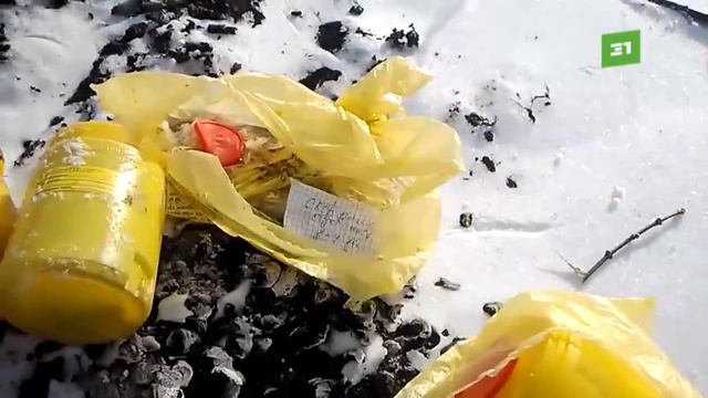 Жители села Кизильское обнаружили на свалке опасные медицинские отходы Кто складирует использованн смотреть онлайн