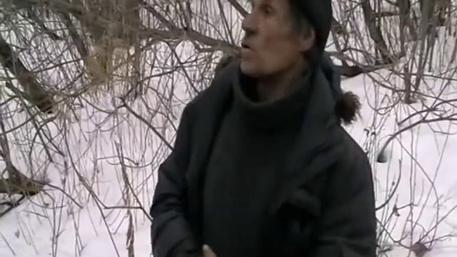 Роды коровы смотреть онлайн