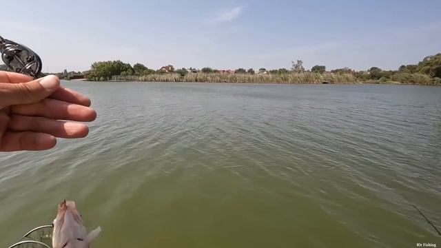 Снасть флэт-фидер, не ожидал что тут столько много рыбы, карась, карп, ловля рыбы, рыболовный день смотреть онлайн