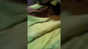 Моя камера у тёщи