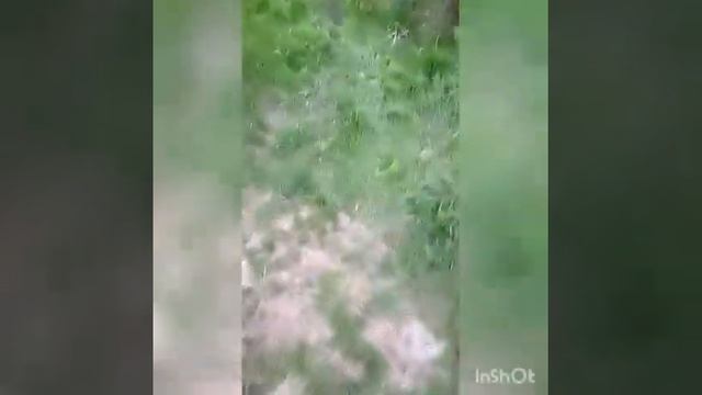 Мой коп сегодня. Хорошо копнул смотреть онлайн