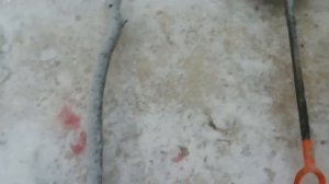 Ловим миногу.