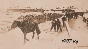 Динамо. 100 лет