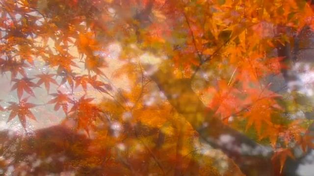 Бальзаковский возраст (песня) смотреть онлайн