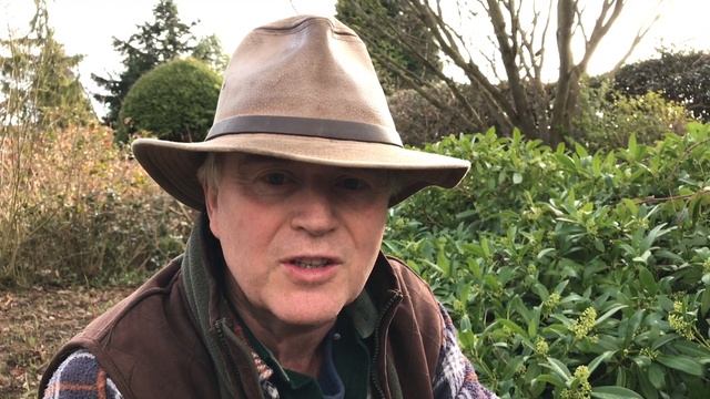 Garden Diaries 3...Snowdrops, snowflakes, & aconites. Easy division смотреть онлайн