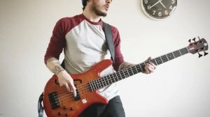 Red Hot Chili Peppers - Venice Queen - Bass Guitar cover by Andres Johnstone