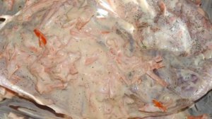 Заяц жареный по-берлински