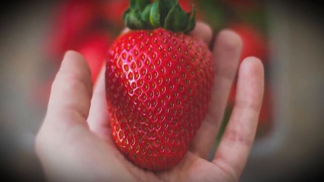 Что творит КЛУБНИКА с организмом? Почему нельзя выбрасывать хвостики и чашелистики клубники? смотреть онлайн