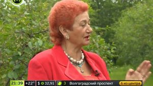 Черешня в Подмосковье