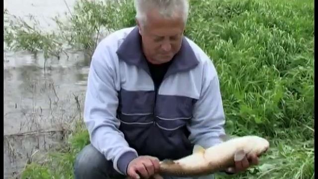 Платная рыбалка на пруду Широков