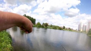 поймал щучек САНКТ-ПЕТЕРБУРГ рыбалка на спиннинг!