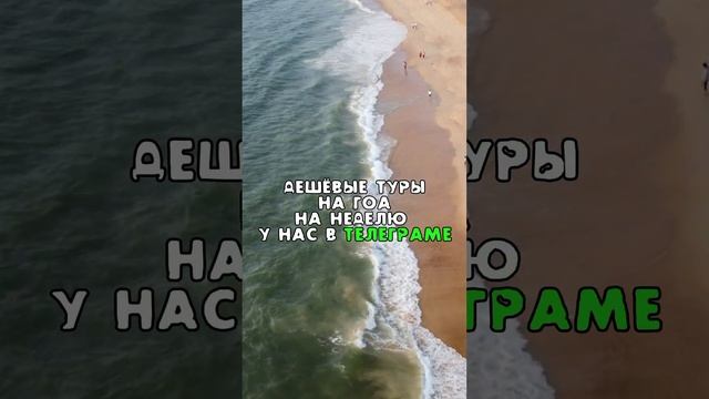 ?Туры в Гоа на неделю в начале декабря от 54.190 руб/чел с питанием, виза онлайн #москва #туры