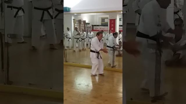 KARATE KYUDOKAN HIGA TE