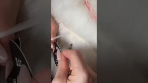 Как ускорить крутку капсулы и плавку кератина, и при этом ИЗБЕЖАТЬ ЗАТЕКОВ?