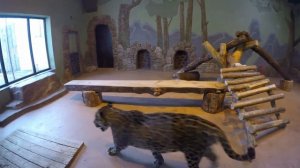 Зоопарк Лимпопо в Нижнем Новгороде:)