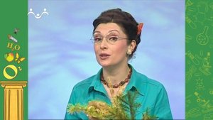 Академия Занимательных Наук. Биология. Почему листья желтеют. Песчанки