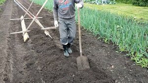 Высокие грядки для клубники мой способ