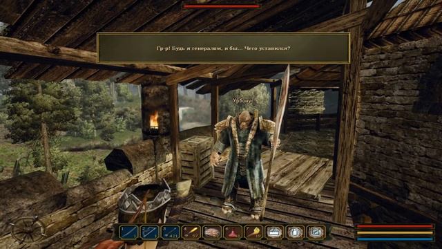 Прохождение Gothic 3 Forsaken Gods #8 Поехавший алхимик смотреть онлайн