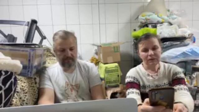 Спасение животных /Вечерний стрим в приюте Хвостатое счастье от 11/11/2022