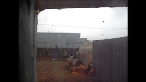 Справил нужду почти посреди улицы.