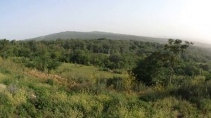 Грозный: смотровая площадка "Лестница в небеса "
