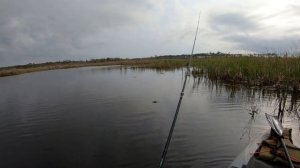 Kayak bass fishing with gators! Lifetime Teton 100 Angler