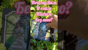 Он ли ваша судьба или иллюзия Почему Вам и с ним плохо и без него плохо? #таро