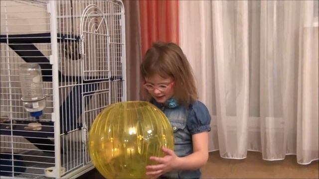 Уход за ШИНШИЛЛОЙ - Содержание шиншиллы в домашних условиях  - Клетка для шиншиллы