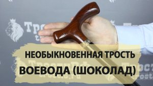 Трость опорная для ходьбы | "Воевода Шоколад"