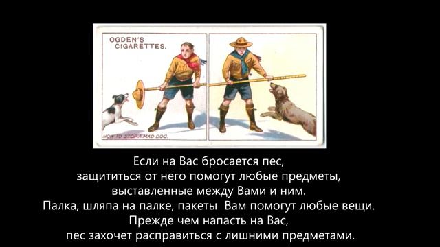 Совет: Как спастись от бешеного пса 5/9. Tip: How to escape from a mad dog. смотреть онлайн