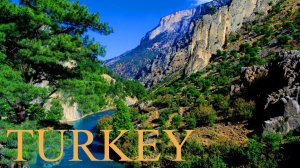 In the mountains of Turkey. Pine forests on the banks of the river. Турция отдых. В горах Турции.