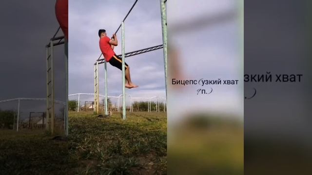 Тренировка спины и бицепс на Турнике смотреть онлайн