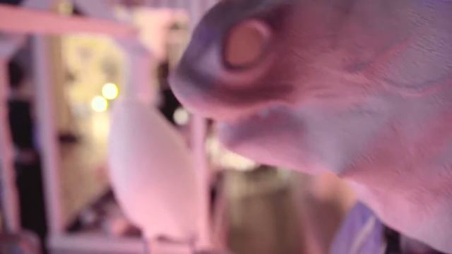 Новогодний корпоратив | Фуршет - Retro Circus | Фигаро-Кейтеринг