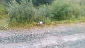 Арышпарово Башкортостан