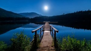 Вечерние звуки природы релаксация