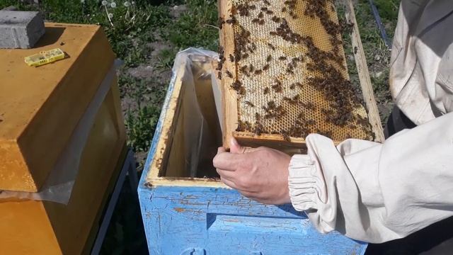 ПРОВЕРЯЮ ПРИЁМ МАТОК смотреть онлайн