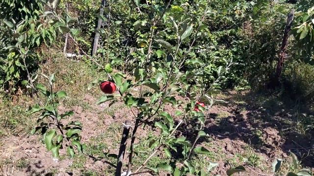 02 сентября 2022 г. смотреть онлайн